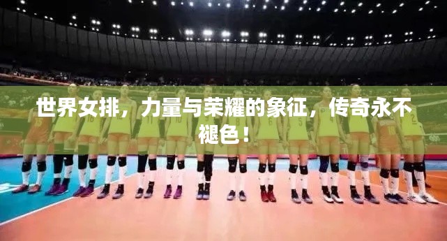 世界女排，力量與榮耀的象征，傳奇永不褪色！