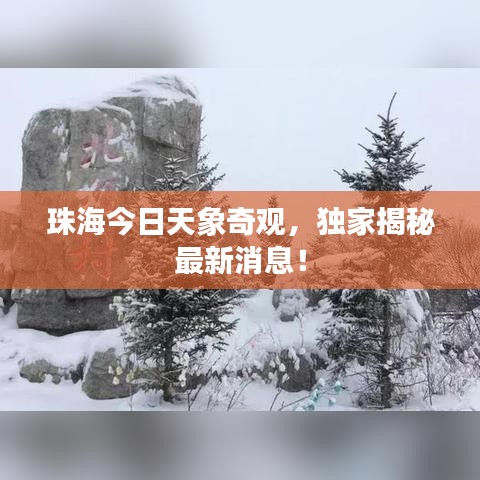 珠海今日天象奇觀，獨(dú)家揭秘最新消息！