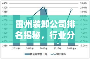 雷州裝卸公司排名揭秘，行業(yè)分析與深度解讀