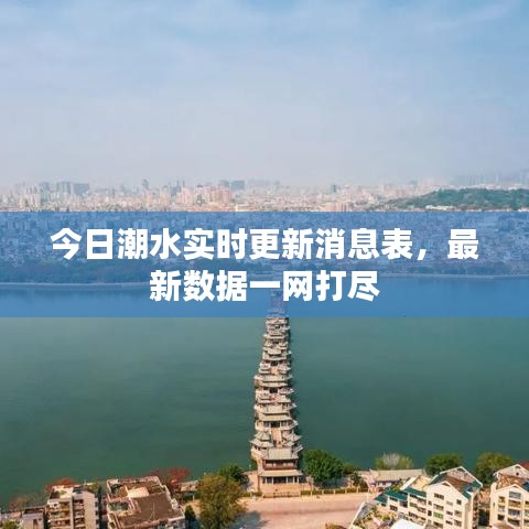 今日潮水實(shí)時(shí)更新消息表，最新數(shù)據(jù)一網(wǎng)打盡