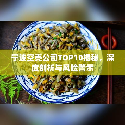 寧波空殼公司TOP10揭秘，深度剖析與風(fēng)險警示