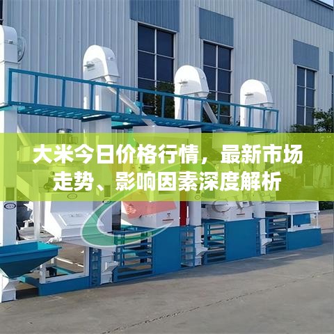 大米今日價(jià)格行情，最新市場(chǎng)走勢(shì)、影響因素深度解析