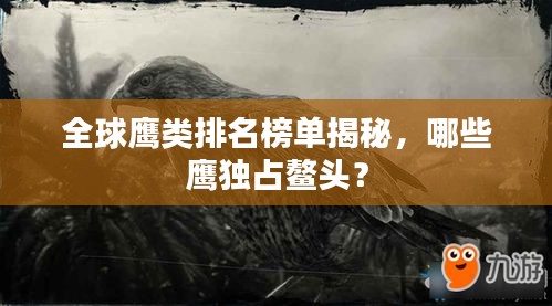 全球鷹類(lèi)排名榜單揭秘，哪些鷹獨(dú)占鰲頭？
