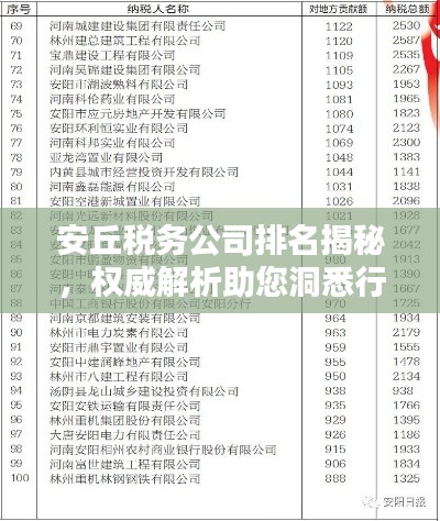 安丘稅務(wù)公司排名揭秘，權(quán)威解析助您洞悉行業(yè)格局