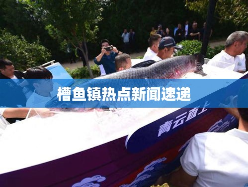 槽魚鎮(zhèn)熱點(diǎn)新聞速遞