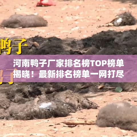 河南鴨子廠家排名榜TOP榜單揭曉！最新排名榜單一網(wǎng)打盡！