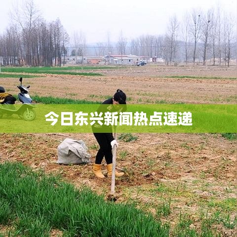 今日東興新聞熱點速遞