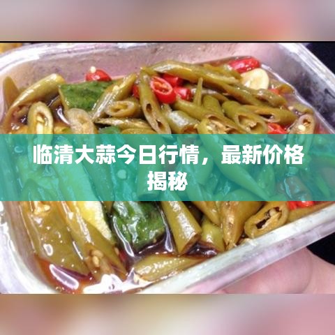 臨清大蒜今日行情，最新價格揭秘