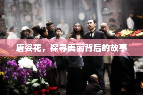 唐姿花，探尋美麗背后的故事