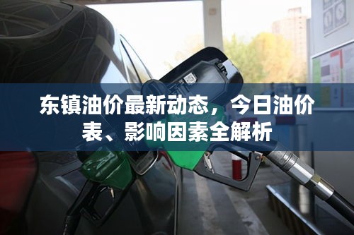 東鎮(zhèn)油價最新動態(tài)，今日油價表、影響因素全解析