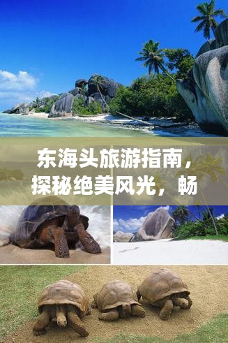 東海頭旅游指南，探秘絕美風(fēng)光，暢游夢幻之旅！