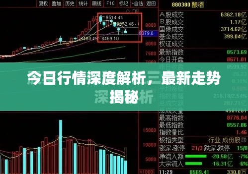 今日行情深度解析，最新走勢(shì)揭秘