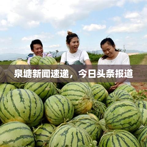 泉塘新聞速遞，今日頭條報(bào)道