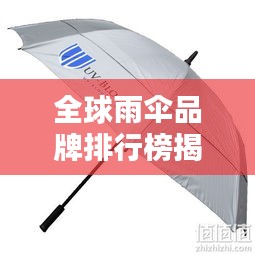 全球雨傘品牌排行榜揭曉，TOP品牌大比拼！