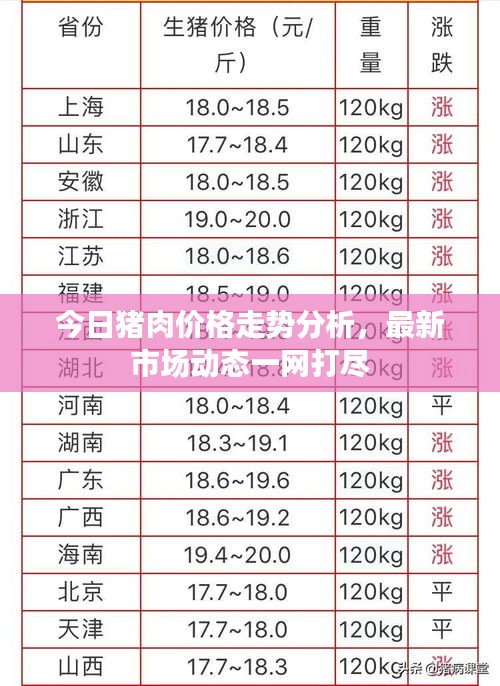 今日豬肉價(jià)格走勢(shì)分析，最新市場動(dòng)態(tài)一網(wǎng)打盡