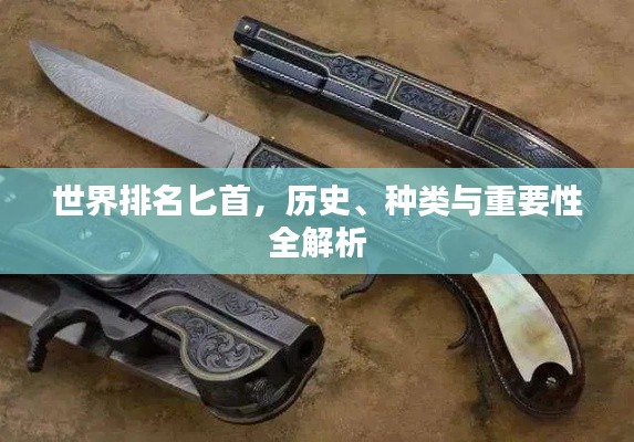 世界排名匕首，歷史、種類與重要性全解析
