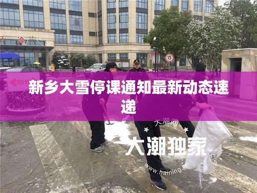 新鄉(xiāng)大雪停課通知最新動(dòng)態(tài)速遞