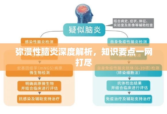 彌漫性腦炎深度解析，知識要點一網(wǎng)打盡