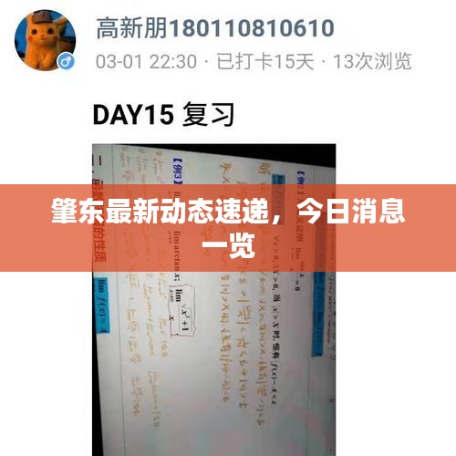 肇東最新動(dòng)態(tài)速遞，今日消息一覽