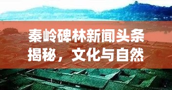 秦嶺碑林新聞?lì)^條揭秘，文化與自然的和諧交融之旅