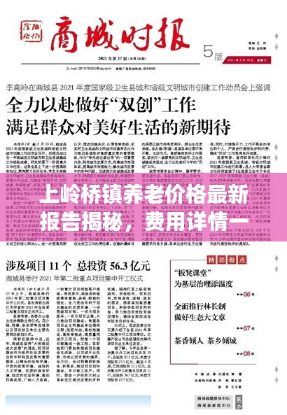 上嶺橋鎮(zhèn)養(yǎng)老價(jià)格最新報(bào)告揭秘，費(fèi)用詳情一網(wǎng)打盡