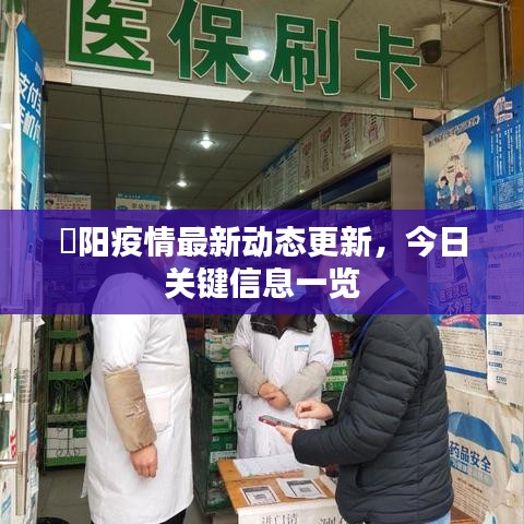 徳陽疫情最新動態(tài)更新，今日關(guān)鍵信息一覽