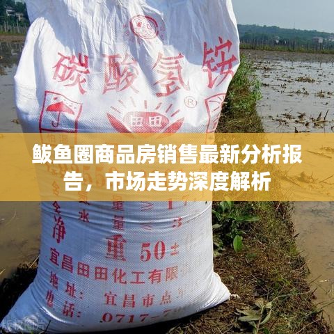 鲅魚圈商品房銷售最新分析報(bào)告，市場(chǎng)走勢(shì)深度解析