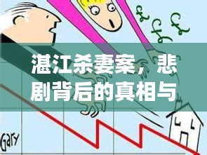 湛江殺妻案，悲劇背后的真相與深度剖析