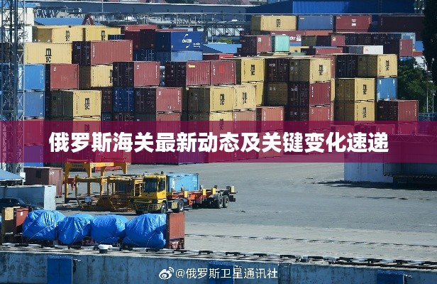 俄羅斯海關(guān)最新動態(tài)及關(guān)鍵變化速遞