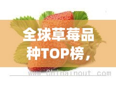 全球草莓品種TOP榜，十大草莓品種爭奇斗艷！