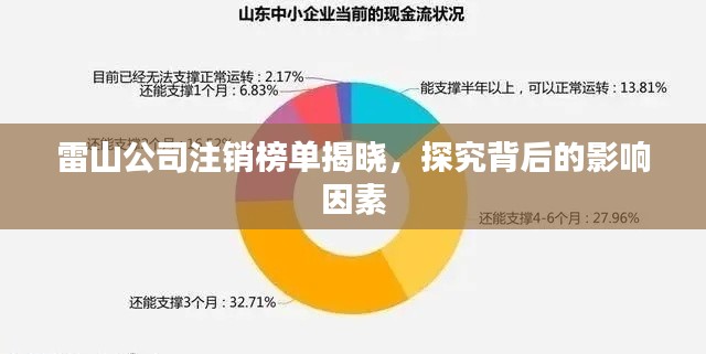雷山公司注銷榜單揭曉，探究背后的影響因素