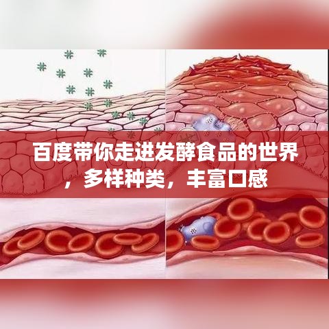 百度帶你走進(jìn)發(fā)酵食品的世界，多樣種類，豐富口感