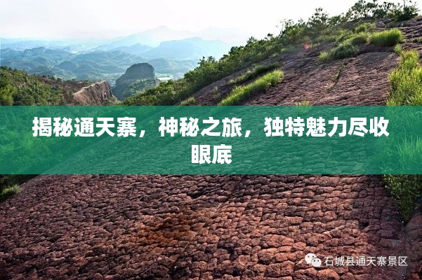 揭秘通天寨，神秘之旅，獨特魅力盡收眼底