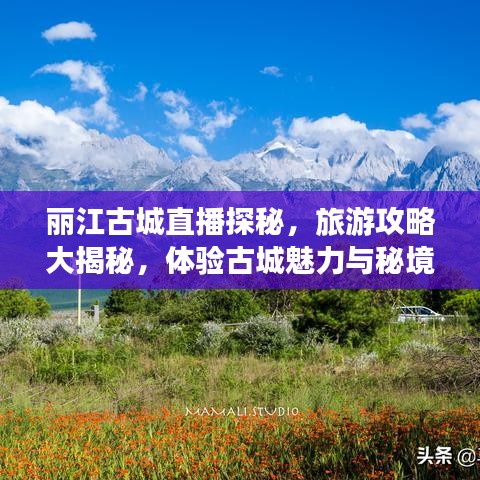 麗江古城直播探秘，旅游攻略大揭秘，體驗古城魅力與秘境之旅！