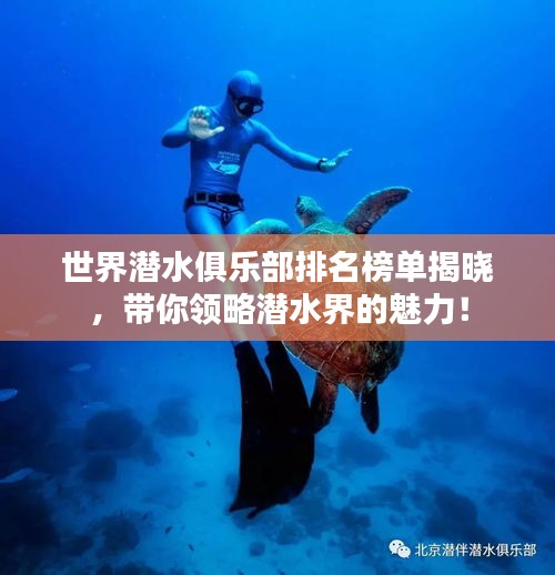 世界潛水俱樂部排名榜單揭曉，帶你領(lǐng)略潛水界的魅力！