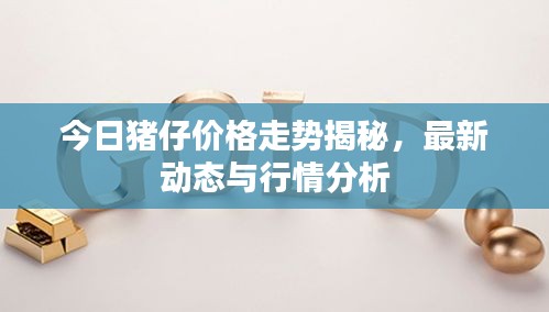 今日豬仔價格走勢揭秘，最新動態(tài)與行情分析