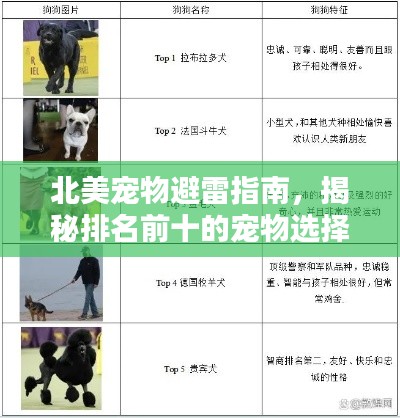 北美寵物避雷指南，揭秘排名前十的寵物選擇