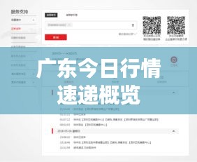 廣東今日行情速遞概覽