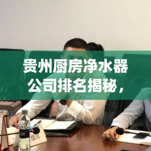 貴州廚房凈水器公司排名揭秘，市場影響力與市場份額的較量
