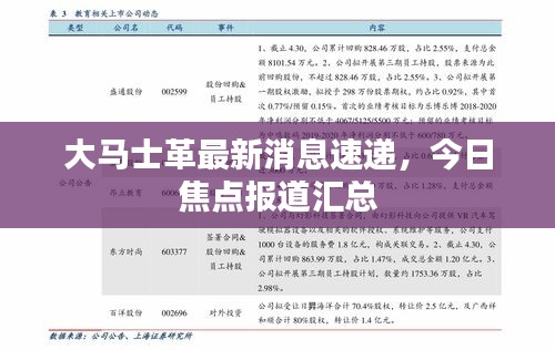 大馬士革最新消息速遞，今日焦點報道匯總