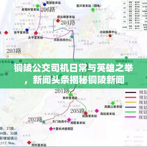 銅陵公交司機日常與英雄之舉，新聞頭條揭秘銅陵新聞