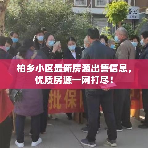 柏鄉(xiāng)小區(qū)最新房源出售信息，優(yōu)質(zhì)房源一網(wǎng)打盡！