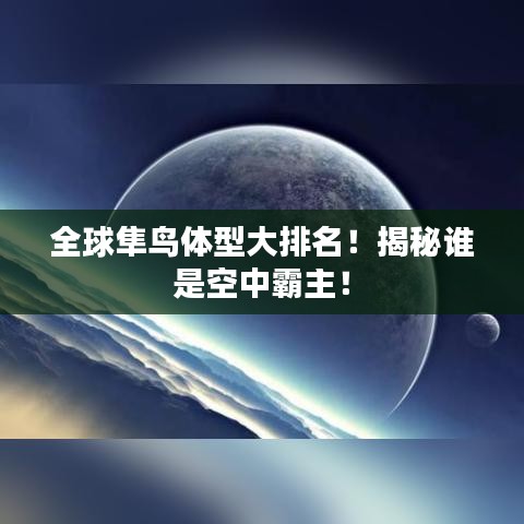 全球隼鳥體型大排名！揭秘誰是空中霸主！