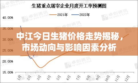 中江今日生豬價格走勢揭秘，市場動向與影響因素分析