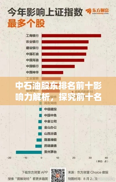 中石油股東排名前十影響力解析，探究前十名股東的持股地位與影響力