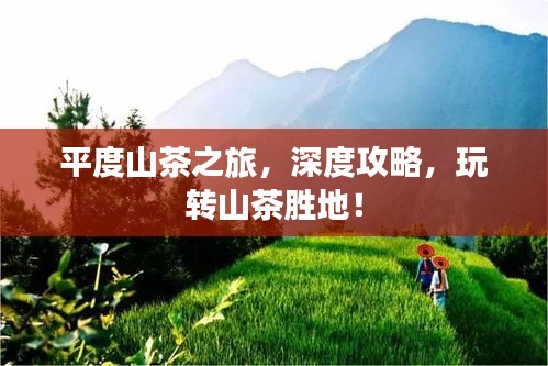 平度山茶之旅，深度攻略，玩轉(zhuǎn)山茶勝地！