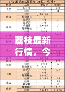 荔枝最新行情，今日價(jià)格走勢(shì)分析