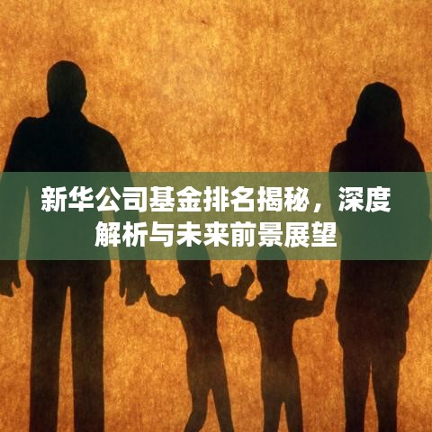 新華公司基金排名揭秘，深度解析與未來前景展望