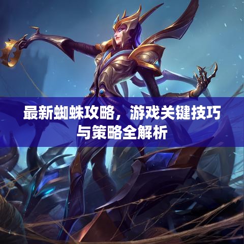 最新蜘蛛攻略，游戲關(guān)鍵技巧與策略全解析