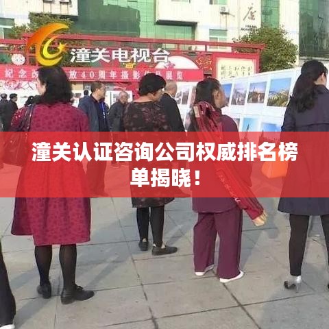 潼關認證咨詢公司權威排名榜單揭曉！